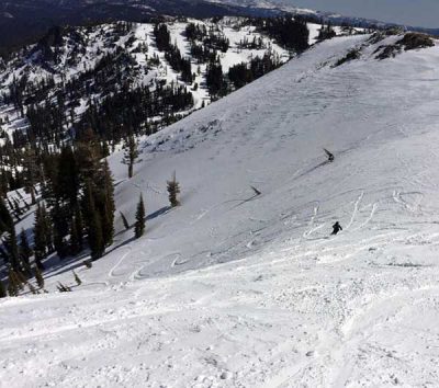 Alpine-Meadows