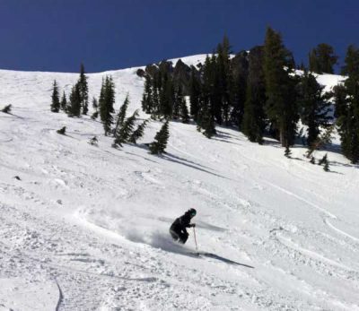 Alpine Meadows