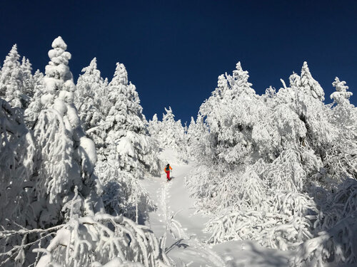  Bolton Valley Resort’s backcountry trails and acreage